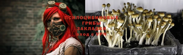 экстази Бронницы