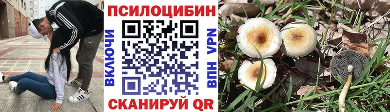 Псилоцибиновые грибы GOLDEN TEACHER  Шимановск 